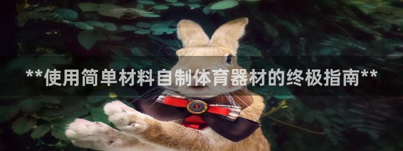 富联平台总代：**使用简单材料自制体育器材的终极指南