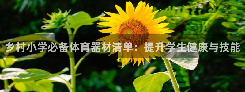 富联娱乐负责人名单：乡村小学必备体育器材清单：提升学