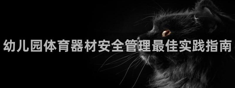 富联娱乐测速地址是什么：幼儿园体育器材安全管理最佳实