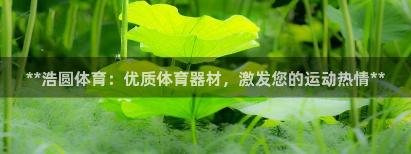 富联娱乐服务站怎么样：**浩圆体育：优质体育器材，激