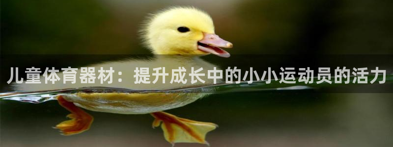 富联娱乐访问中国网站：儿童体育器材：提升成长中的小小