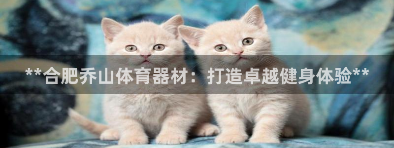 富联平台官网首页：**合肥乔山体育器材：打造卓越健身