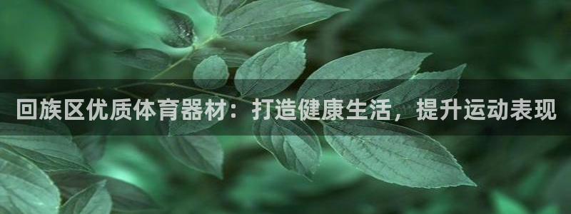 富联平台主管：回族区优质体育器材：打造健康生活，提升