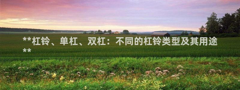 富联平台挂机怎么操作：**杠铃、单杠、双杠：不同的杠