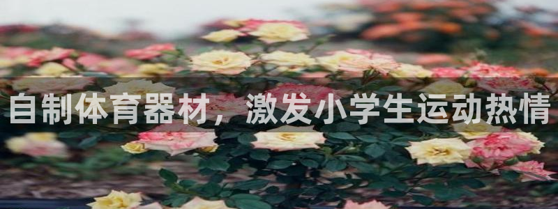 富联平台官网登录网址：自制体育器材，激发小学生运动热