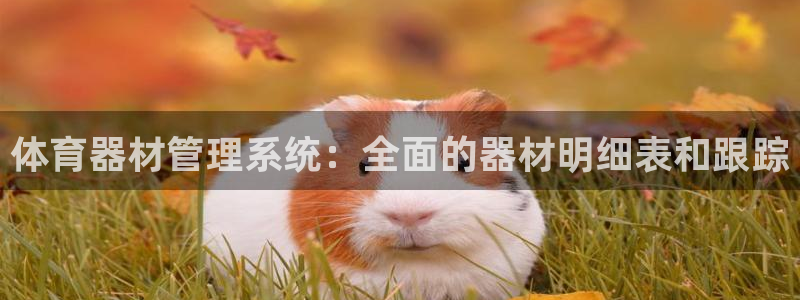 富联平台登录网址查询：体育器材管理系统：全面的器材明