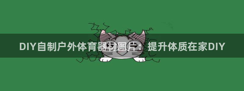 富联平台代理注册：DIY自制户外体育器材图片：提升体