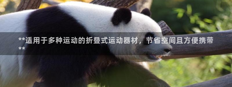 富联娱乐登录注册流程：**适用于多种运动的折叠式运动