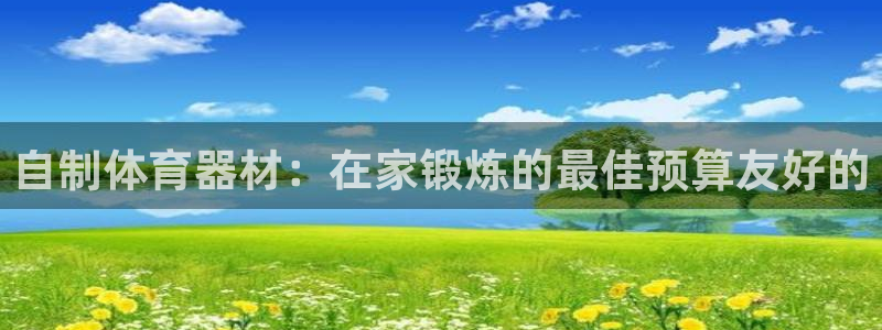 富联娱乐老板是谁：自制体育器材：在家锻炼的最佳预算友