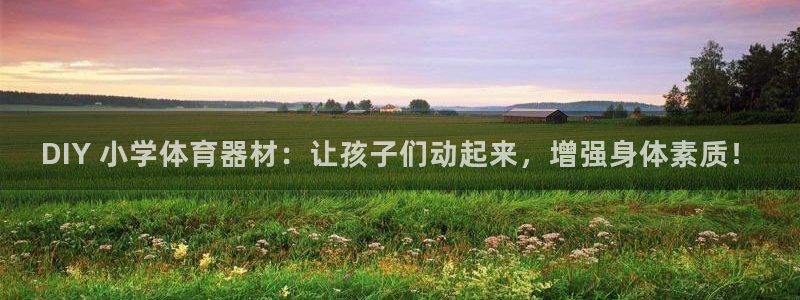 富联是什么意思：DIY 小学体育器材：让孩子们动起来