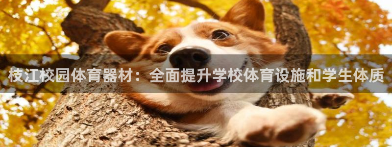 富联娱乐服务站地址：枝江校园体育器材：全面提升学校体
