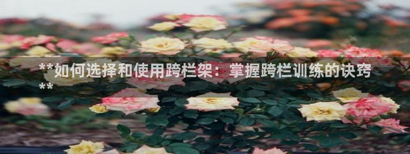 富联娱乐是骗局吗知乎：**如何选择和使用跨栏架：掌握