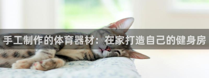 富联娱乐察7O777：手工制作的体育器材：在家打造自