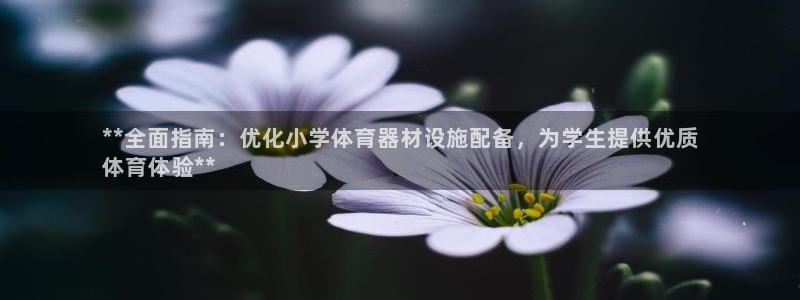 富联娱乐丁6.7.5.1.3.8：**全面指南：优化