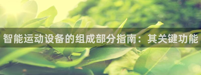 富联什么意思：智能运动设备的组成部分指南：其关键功能