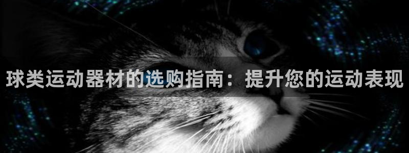 富联娱乐登录注册入口官网网址是多少：球类运动器材的选