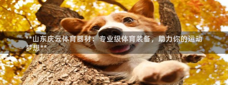 富联平台辉 411o31 富联：**山东庆云体育器材
