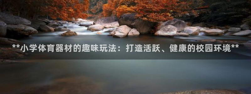 富联官网代理系列产品：**小学体育器材的趣味玩法：打