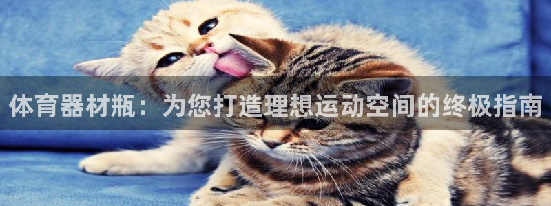 富联娱乐总代理：体育器材瓶：为您打造理想运动空间的终