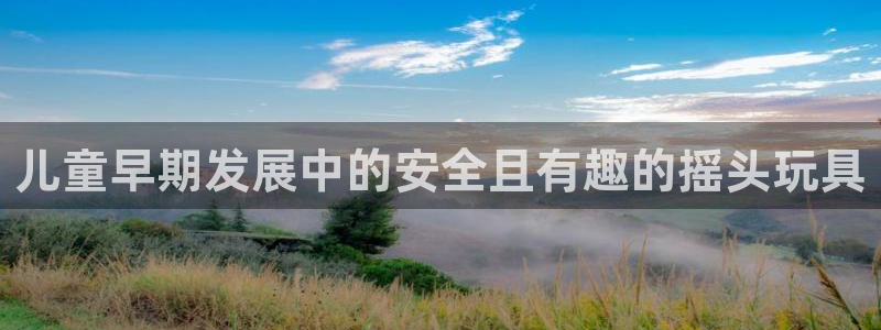 富联娱乐负责人名单：儿童早期发展中的安全且有趣的摇头