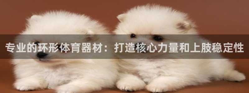 富联娱乐马 5O6917 娱乐：专业的环形体育器材：