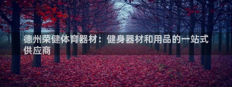 富联是什么：德州荣健体育器材：健身器材和用品的一站式