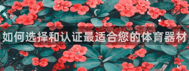 富联娱乐官方网站首页入口：如何选择和认证最适合您的体