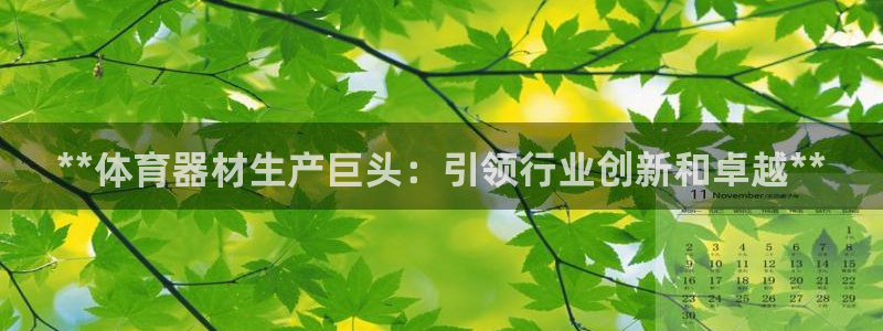 富联官网代理系列是正品吗：**体育器材生产巨头：引领