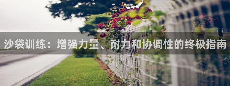 富联娱乐正规吗安全吗：沙袋训练：增强力量、耐力和协调