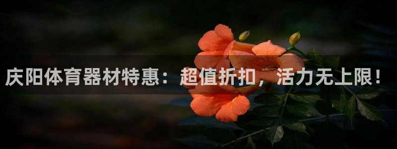 富联官网乙6.7.5.1.3.8：庆阳体育器材特惠：