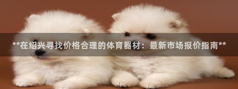 富联智能：**在绍兴寻找价格合理的体育器材：最新市场