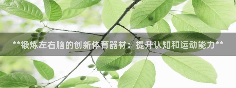 富联集团董事长：**锻炼左右脑的创新体育器材：提升认