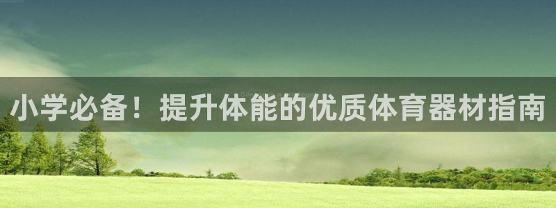 富联股份股价：小学必备！提升体能的优质体育器材指南