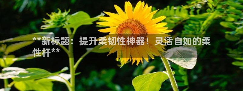 富联平台招商电话：**新标题：提升柔韧性神器！灵活自