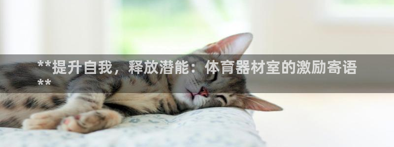 富联娱乐平台开户流程视频：**提升自我，释放潜能：体