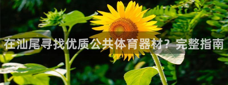 富联平台代理注册流程：在汕尾寻找优质公共体育器材？完