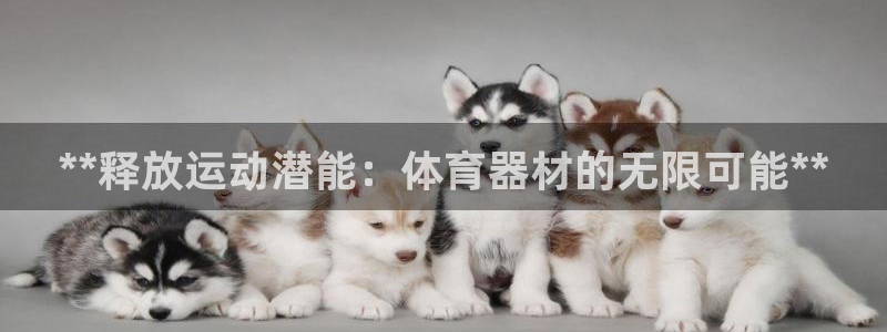 富联官网注册不了账号怎么回事：**释放运动潜能：体育