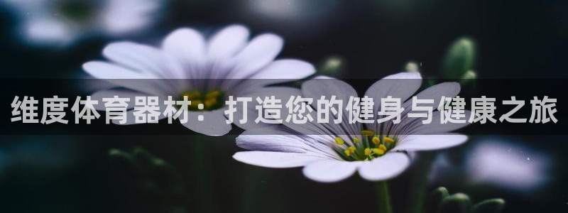 富联娱乐登录地址在哪里：维度体育器材：打造您的健身与