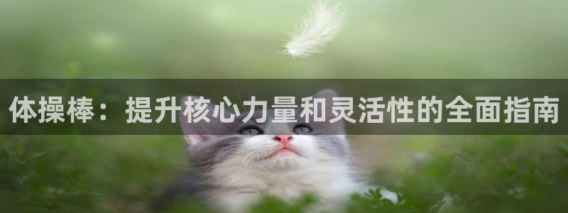 富联娱乐登录地址在哪里：体操棒：提升核心力量和灵活性的全面指