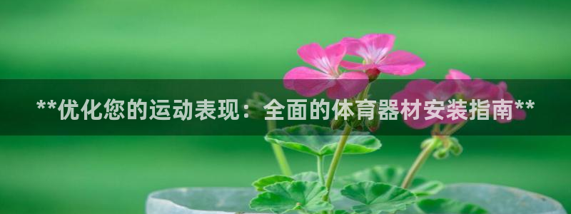 富联娱乐是什么时候开的：**优化您的运动表现：全面的