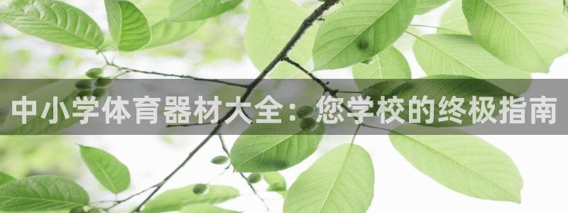 富联官方网站入口：中小学体育器材大全：您学校的终极指