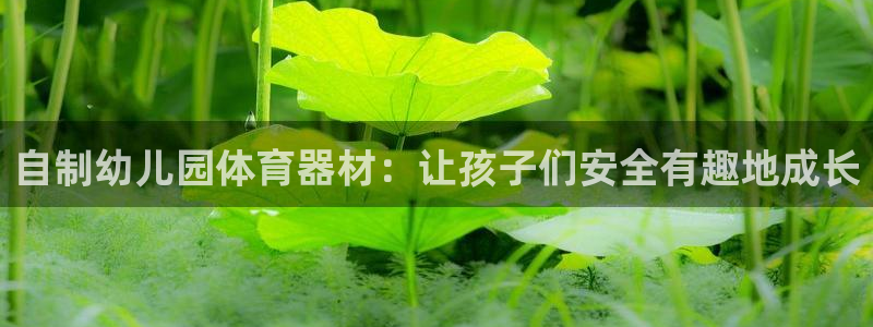 富联通讯简介：自制幼儿园体育器材：让孩子们安全有趣地