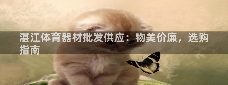 富联娱乐服务站地址：湛江体育器材批发供应：物美价廉，