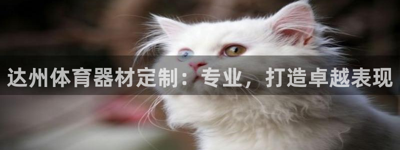富联娱乐登陆：达州体育器材定制：专业，打造卓越表现