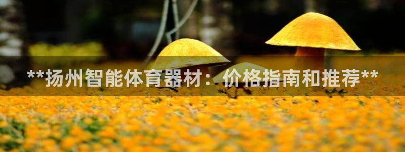 富联平台登录注册账号：**扬州智能体育器材：价格指南