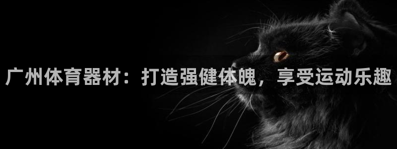 富联平台便7O777：广州体育器材：打造强健体魄，享