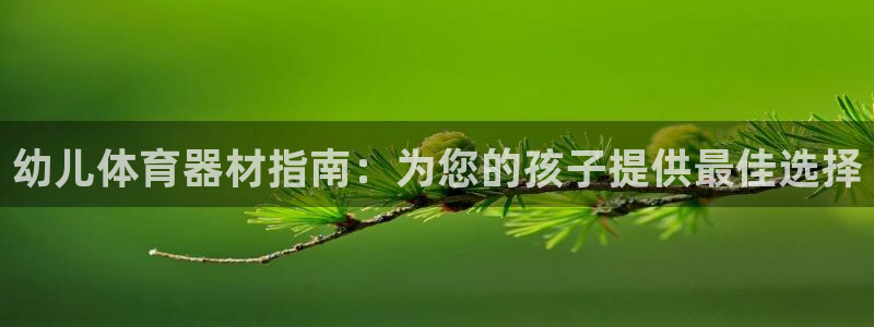 富联平台登录网址：幼儿体育器材指南：为您的孩子提供最