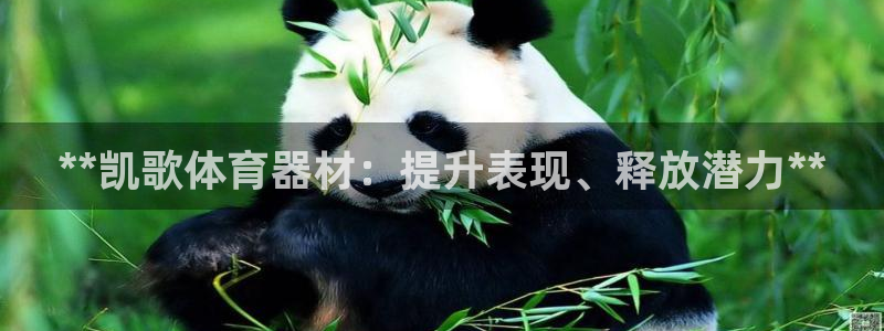 富联娱乐负责人名单：**凯歌体育器材：提升表现、释放
