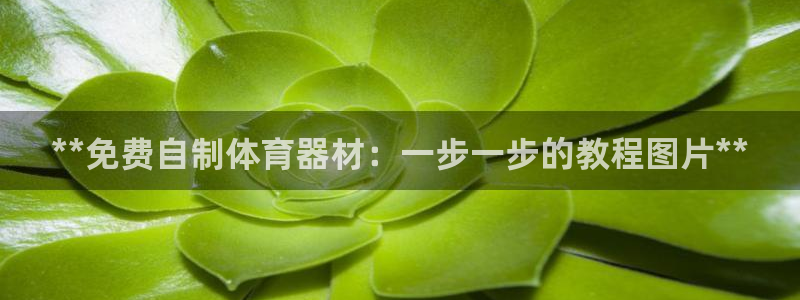 富联娱乐代理怎么做：**免费自制体育器材：一步一步的
