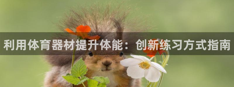 富联娱乐平台能挣到钱吗现在：利用体育器材提升体能：创